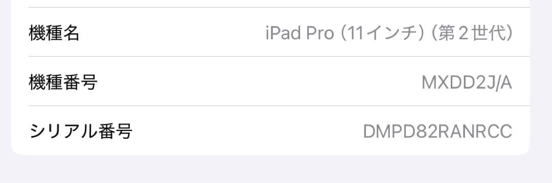 Apple iPad Pro 11インチ シルバー 256gb Wi-Fiモデル