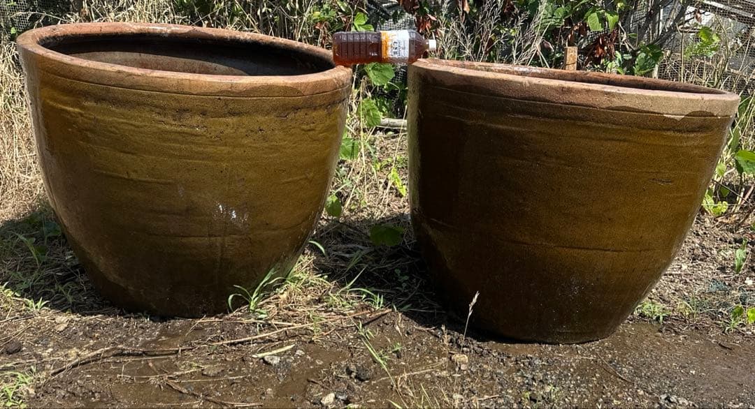 睡蓮鉢　96 特大　大型　メダカ　陶器　蓮　水鉢　甕　寺　庭園　古物　骨董　盆栽