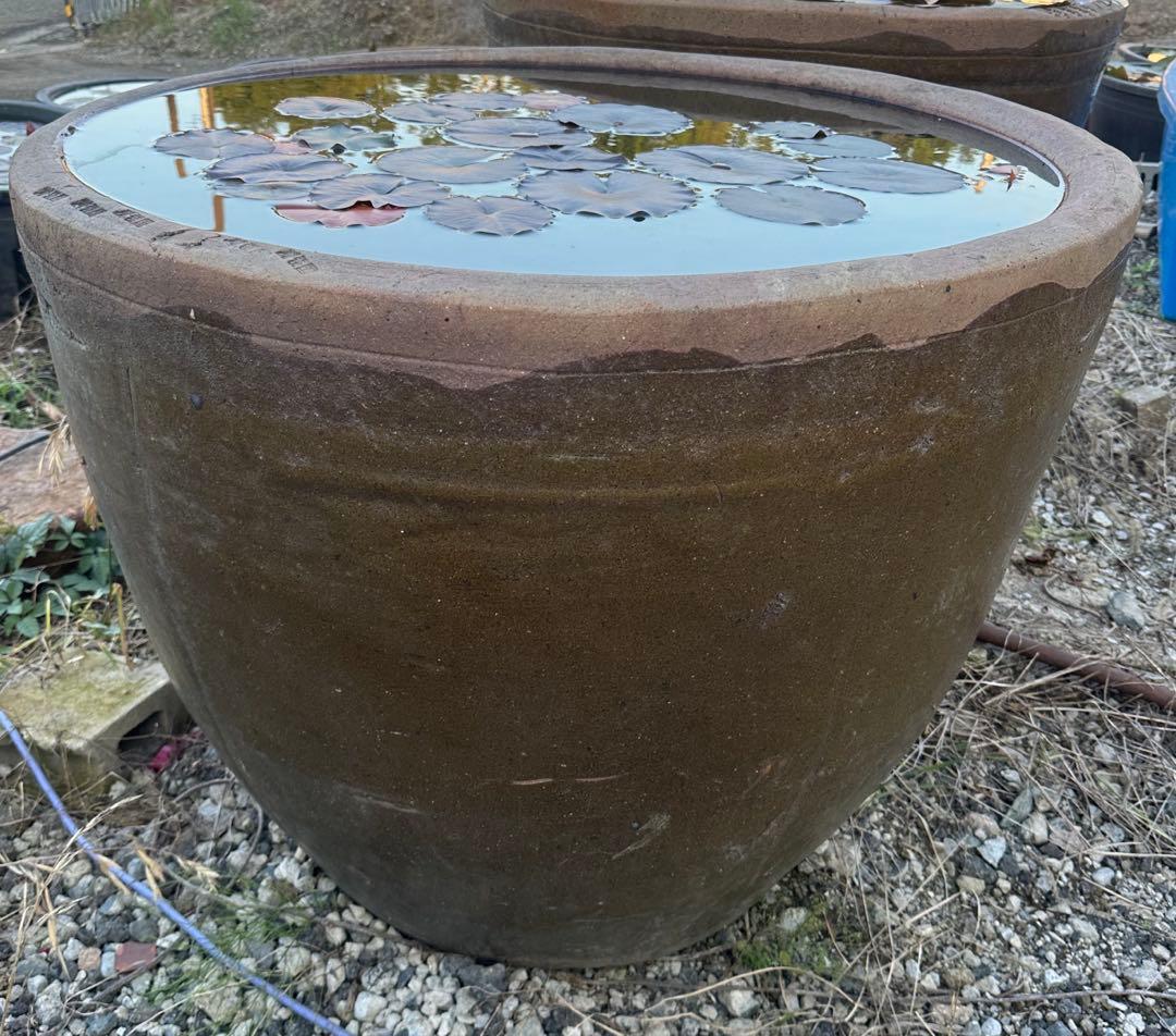 睡蓮鉢　96 特大　大型　メダカ　陶器　蓮　水鉢　甕　寺　庭園　古物　骨董　盆栽