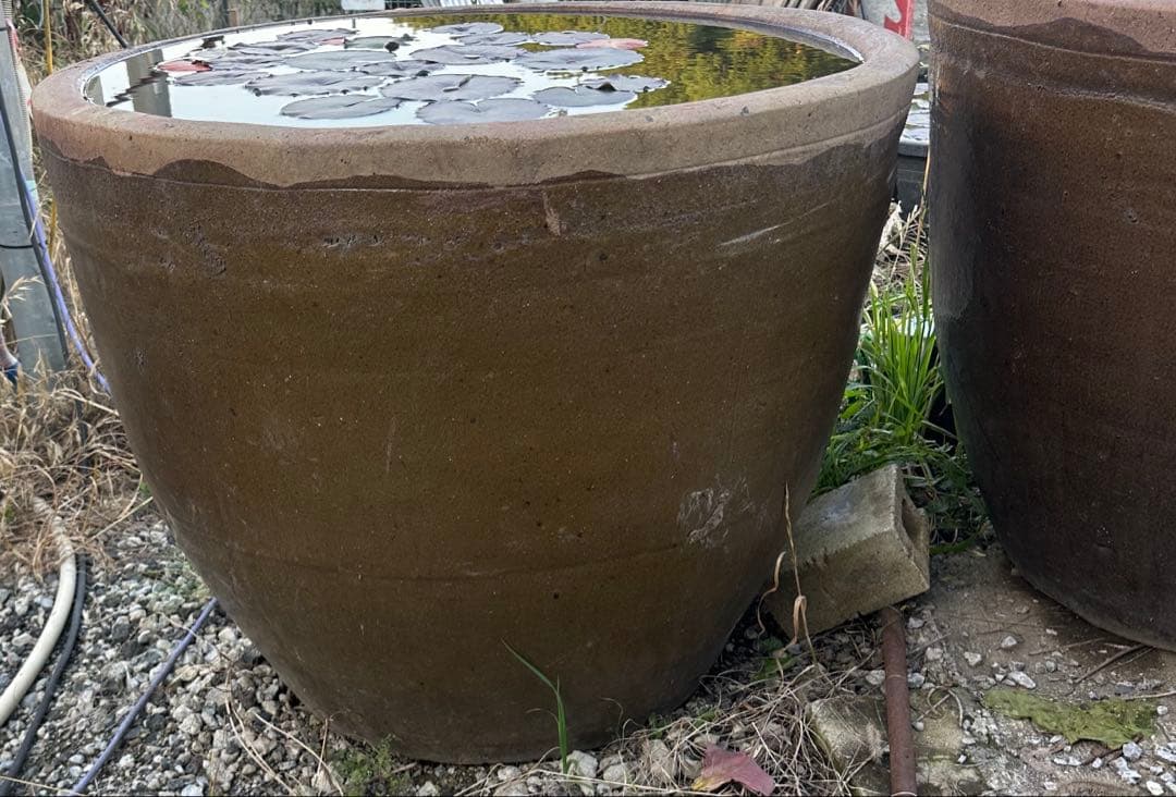 睡蓮鉢　96 特大　大型　メダカ　陶器　蓮　水鉢　甕　寺　庭園　古物　骨董　盆栽