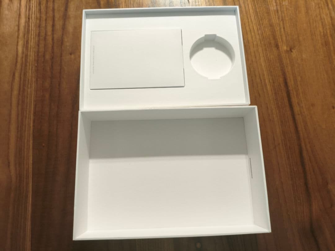 S*T様 【ジャンク品】iPad mini 第5世代　256GB（液晶漏れ）