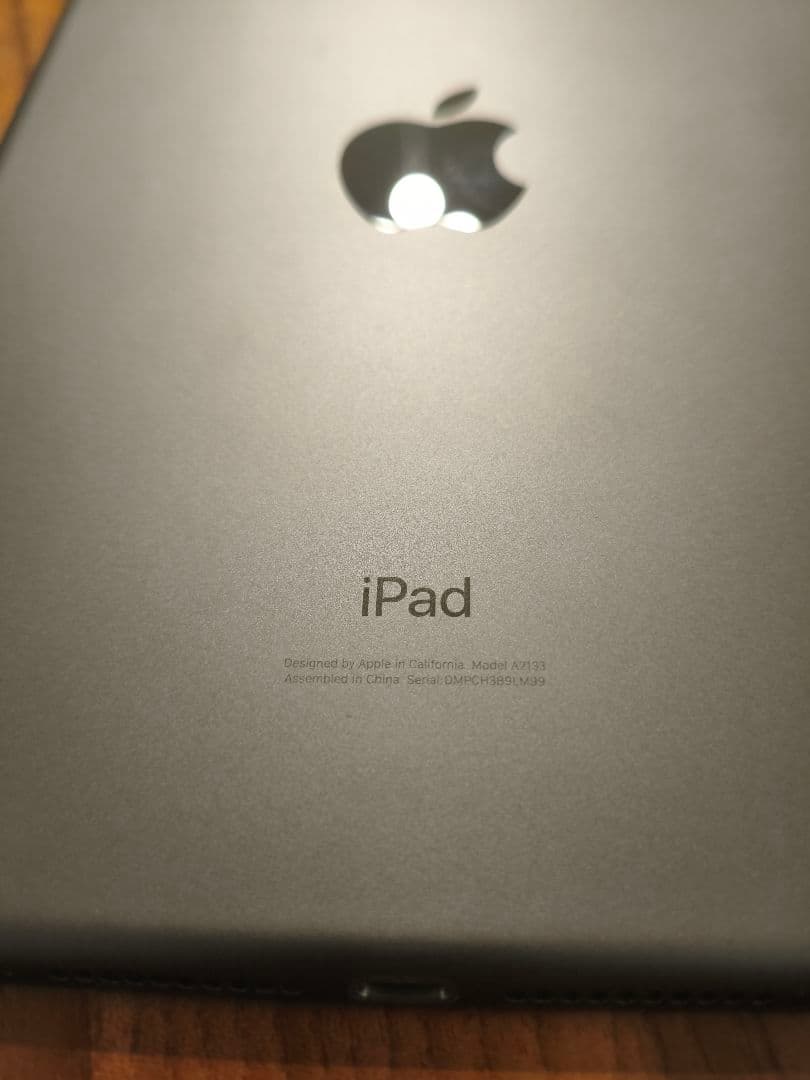 S*T様 【ジャンク品】iPad mini 第5世代　256GB（液晶漏れ）