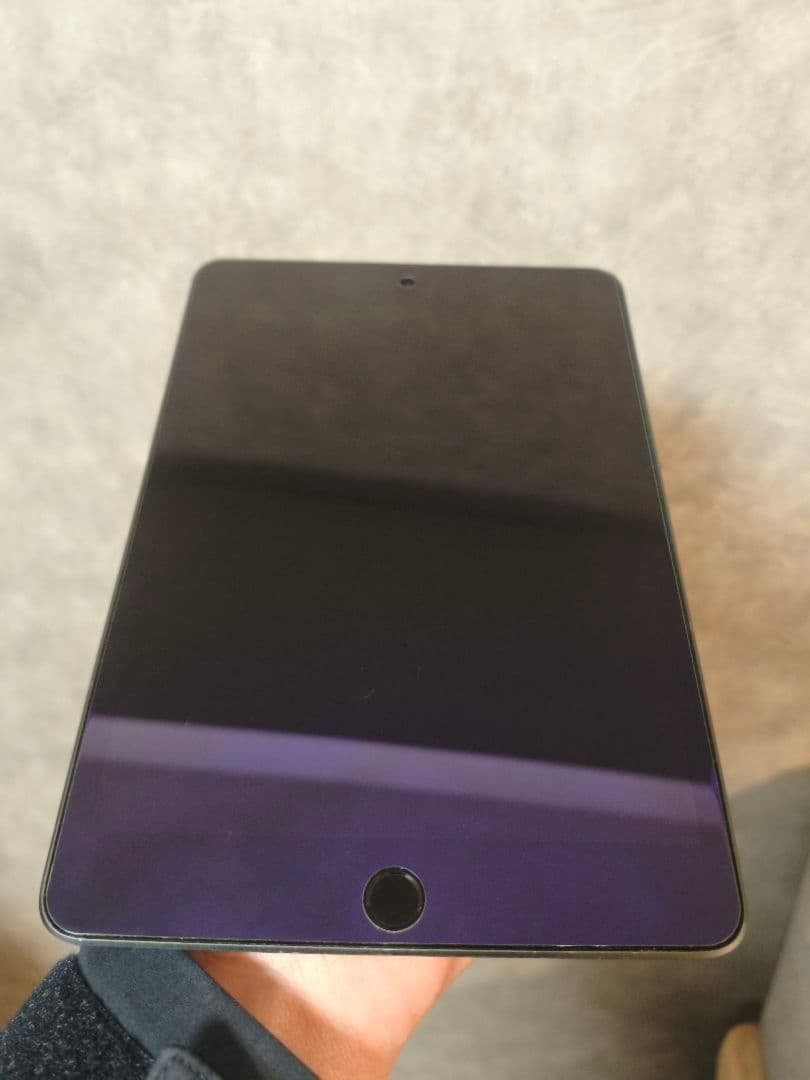 S*T様 【ジャンク品】iPad mini 第5世代　256GB（液晶漏れ）