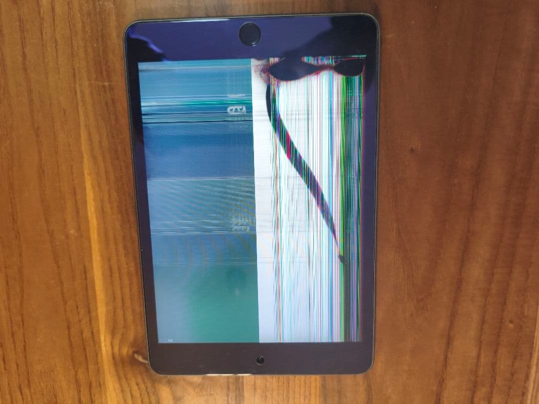 S*T様 【ジャンク品】iPad mini 第5世代　256GB（液晶漏れ）