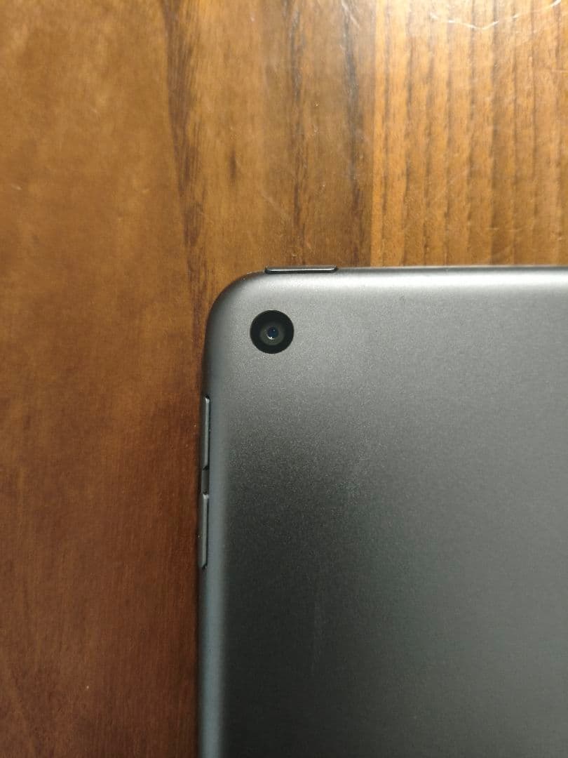 S*T様 【ジャンク品】iPad mini 第5世代　256GB（液晶漏れ）