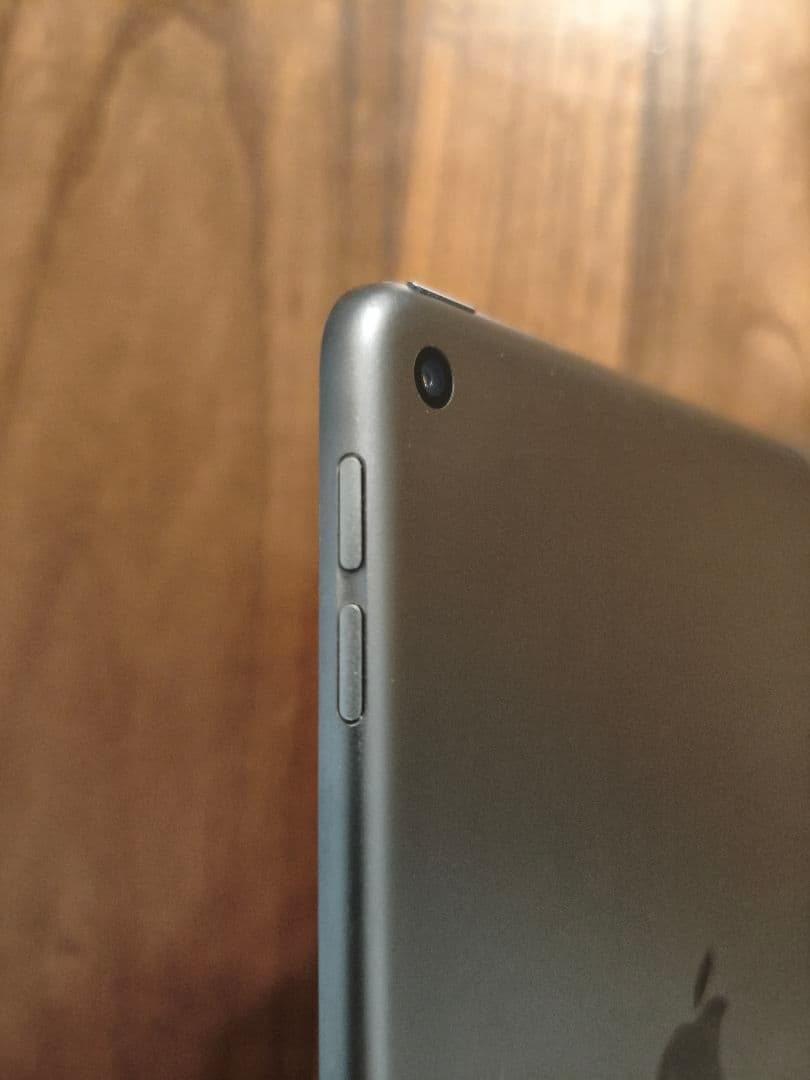 S*T様 【ジャンク品】iPad mini 第5世代　256GB（液晶漏れ）