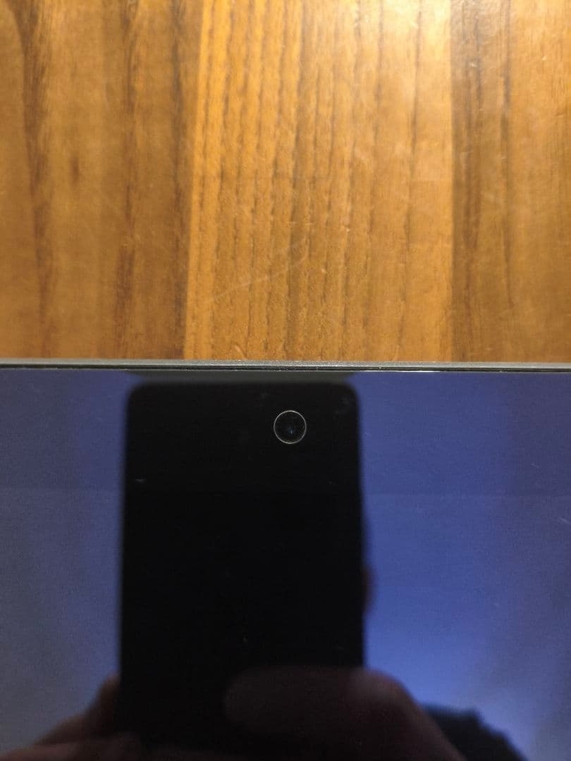 S*T様 【ジャンク品】iPad mini 第5世代　256GB（液晶漏れ）