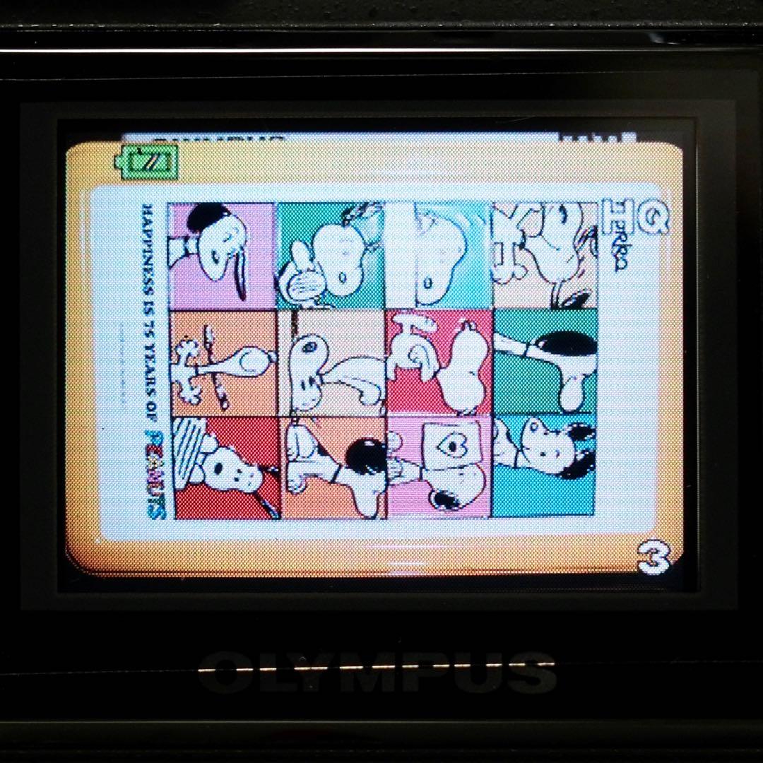 極美品 箱付き 平成レトロ Y2K OLYMPUS C-3030 ZOOM