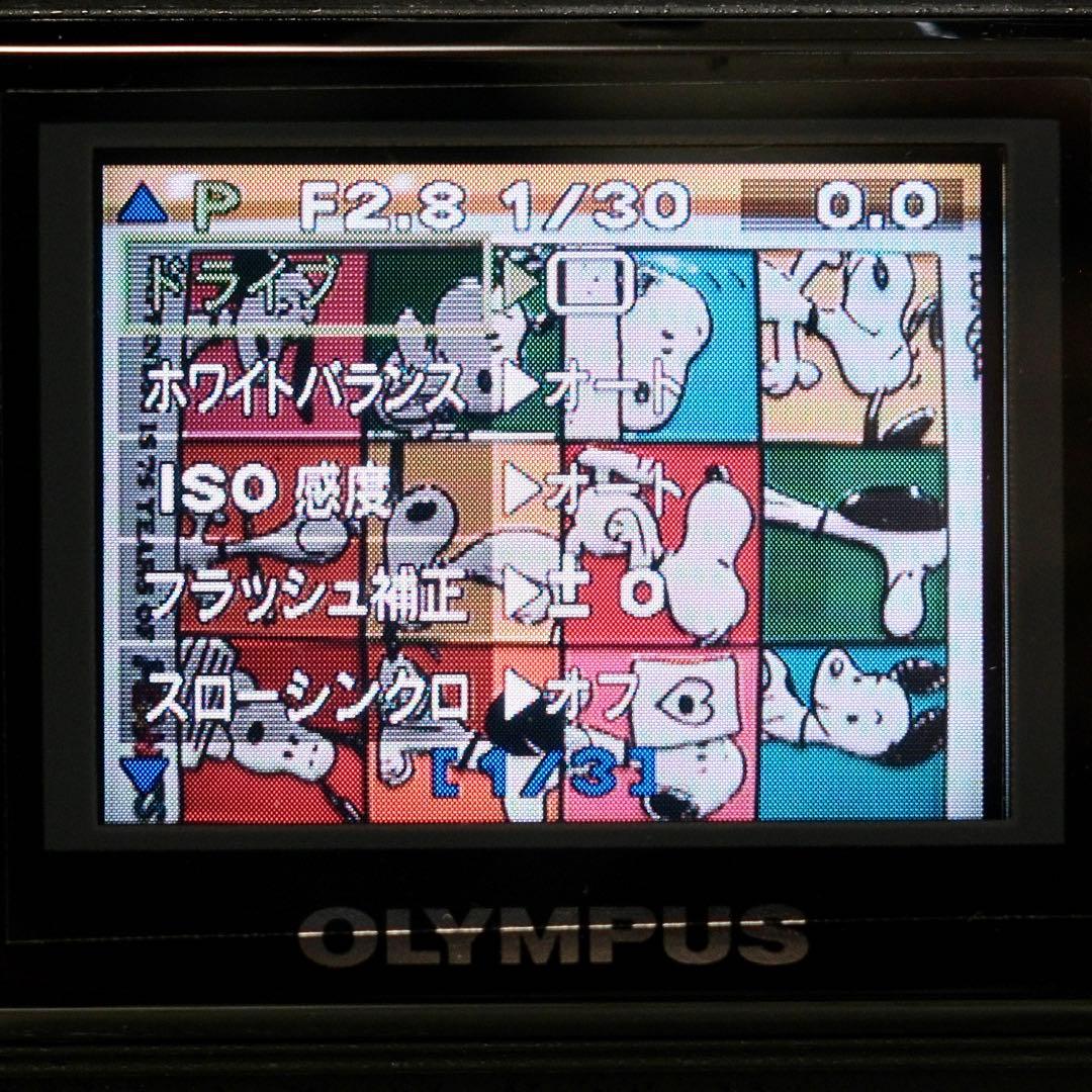 極美品 箱付き 平成レトロ Y2K OLYMPUS C-3030 ZOOM