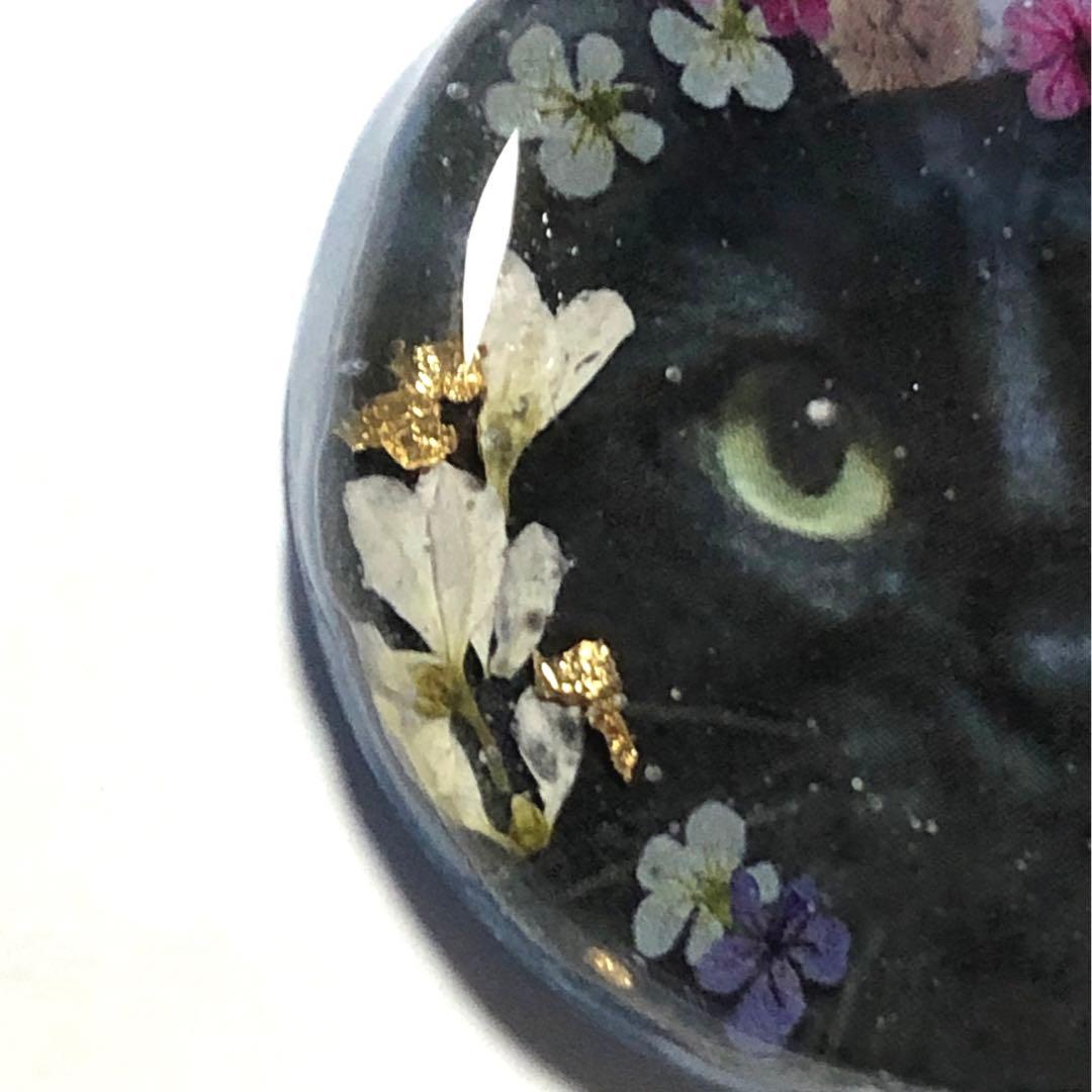 レジンヘアゴム　NO.266 おすまし猫ちゃん