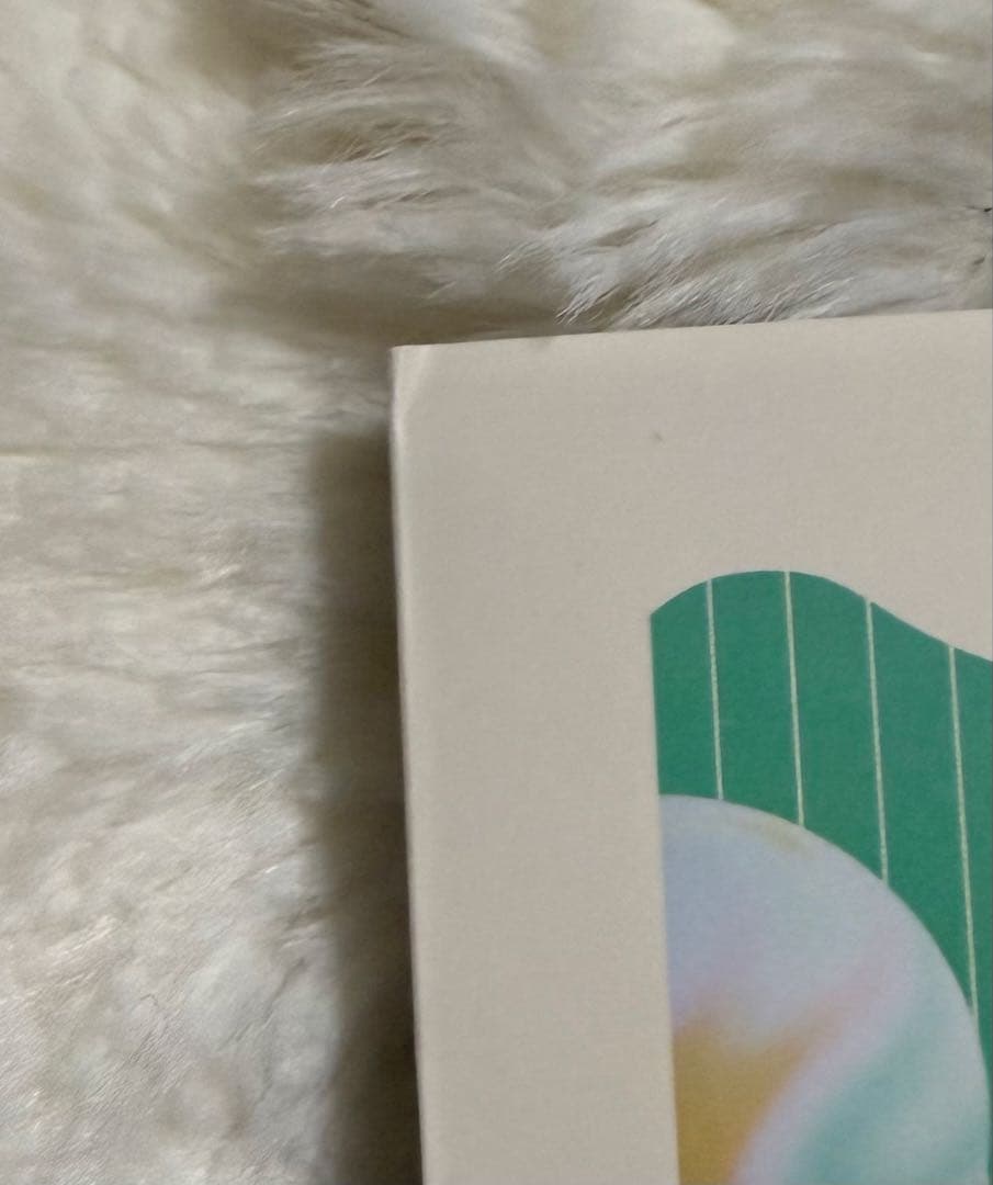 FRUITS ZIPPER ENERGY 写真集 YUI版