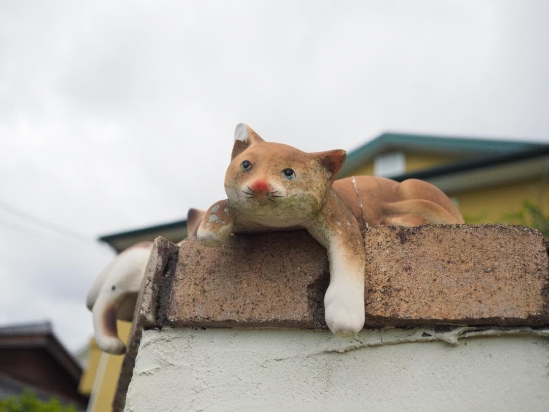 綺麗 OLYMPUS M.ZUIKO DIGITAL 17mm F2.8