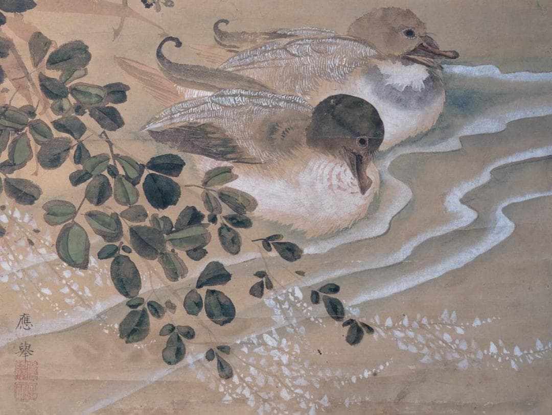 【模写】絵画　円山応挙　日本画　鴛鴦図　水辺に寄り添う夫婦の情景　Z181