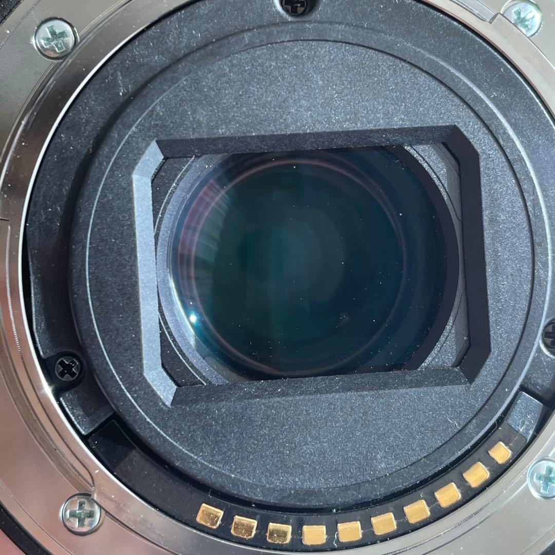 さ*う様 ソニー SONY SEL1670Z 16-70 F4 ZA OSS E