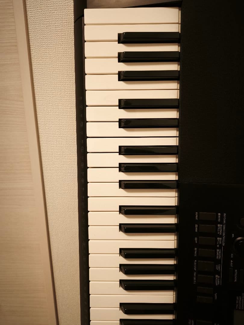 CASIO 電子キーボード 76鍵盤 WK-245