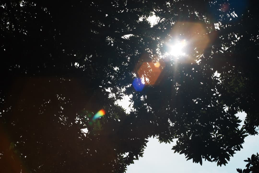 【希少8枚玉】動作◎ Super Takumar 50mm F1.4 641