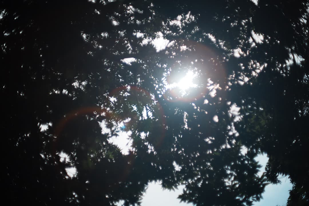 【希少8枚玉】動作◎ Super Takumar 50mm F1.4 641