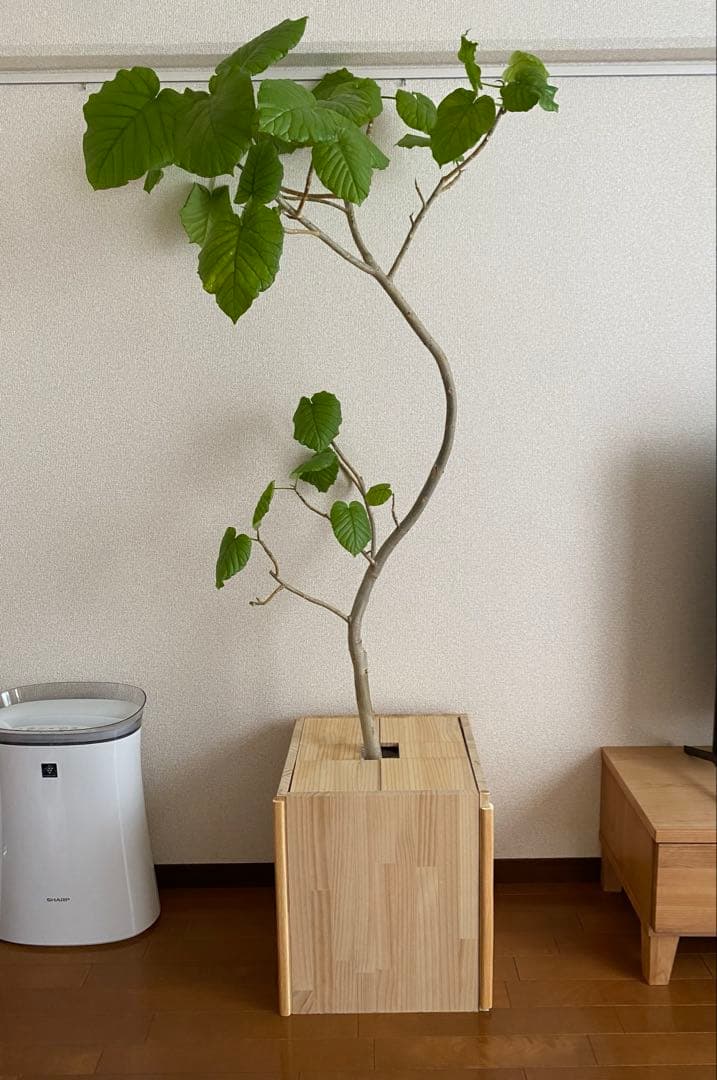 セメント風 プランター 陶器プレート 鉢カバー セット