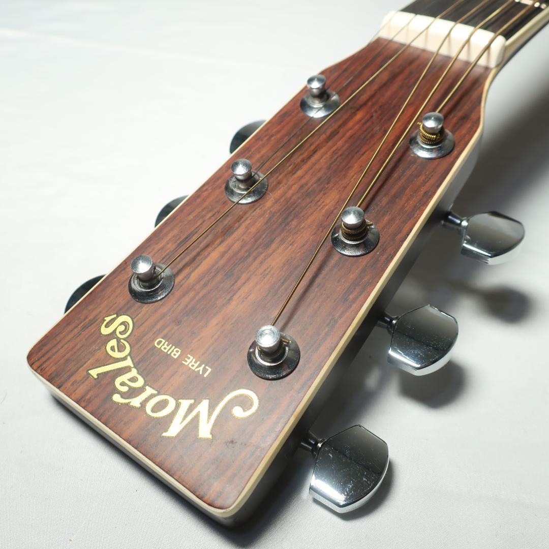 美品 Morales LYRE BIRD M-18 アコースティックギター
