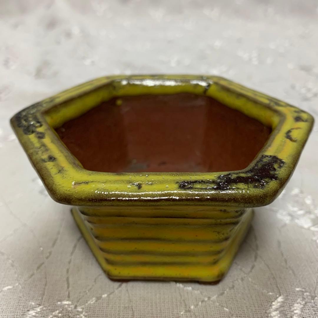 六角　盆栽鉢　黄