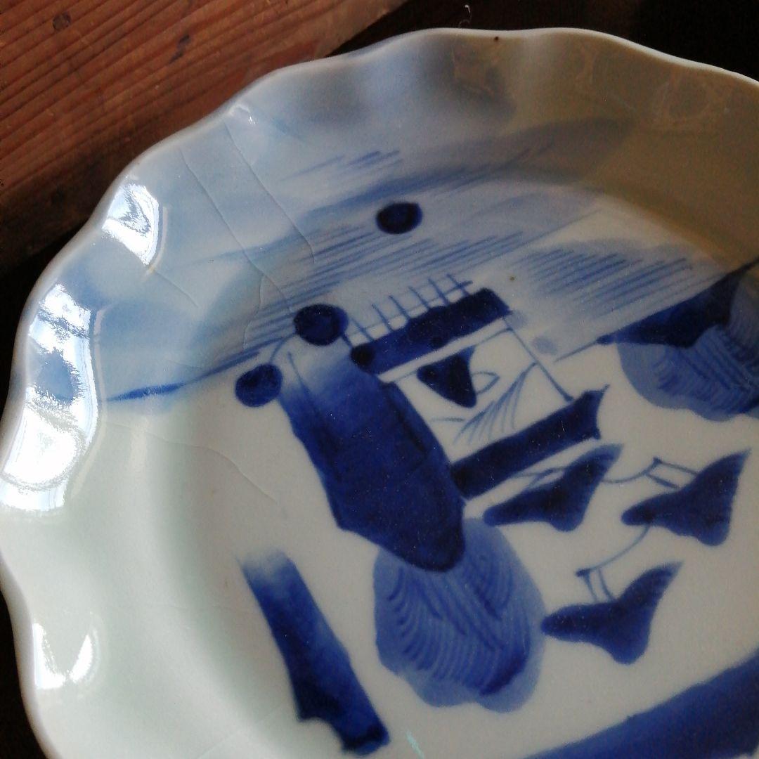 伊万里　染付輪花縁皿　10枚　16.3cm　幕末〜明治期