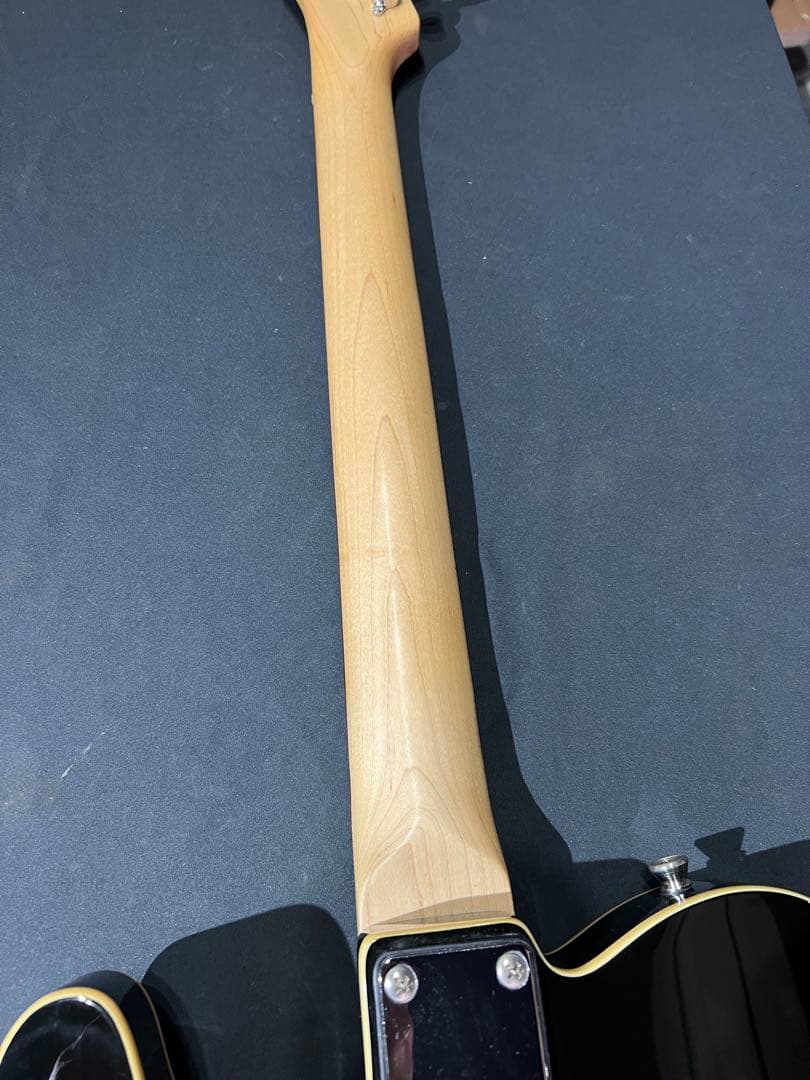 Bacchus BTE-1 弾きやすい