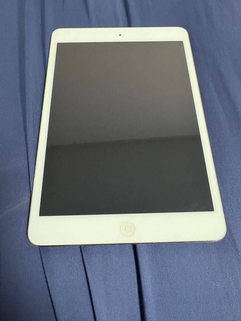 iPad本体 Apple iPad mini 16G