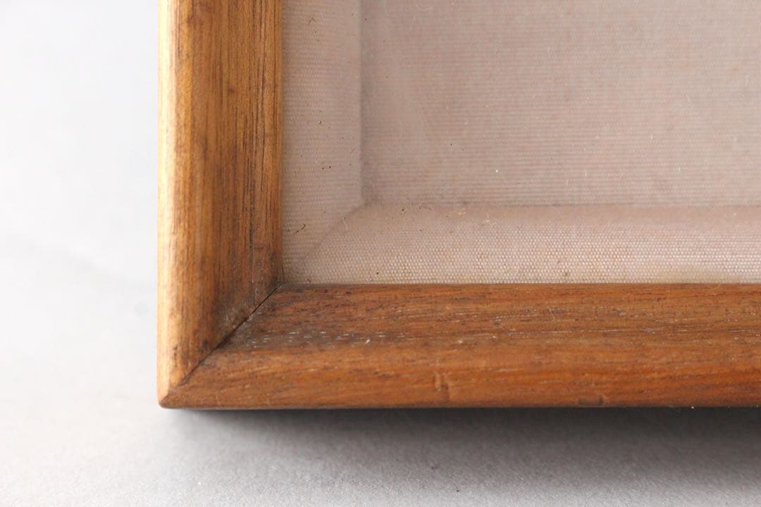 No5743 額装　木村廣吉　「杏」　直筆サイン　日本画　静物画　美術　送料無料