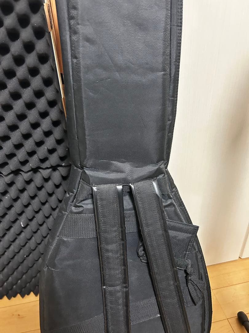 【Tom Andersonピックアップ】Schecter Guitar