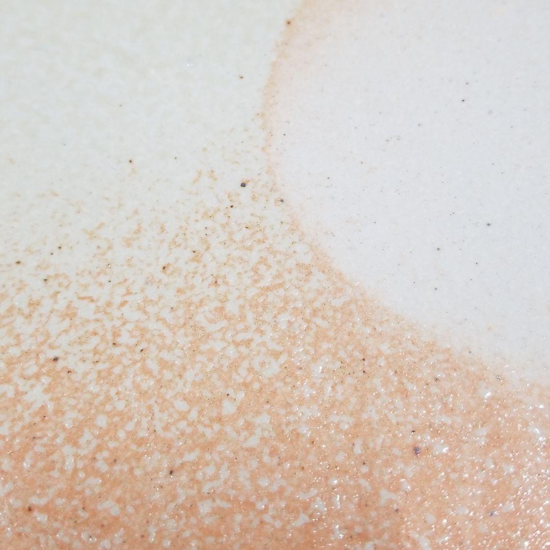 信楽焼 大皿  炎彩 直径３２cm