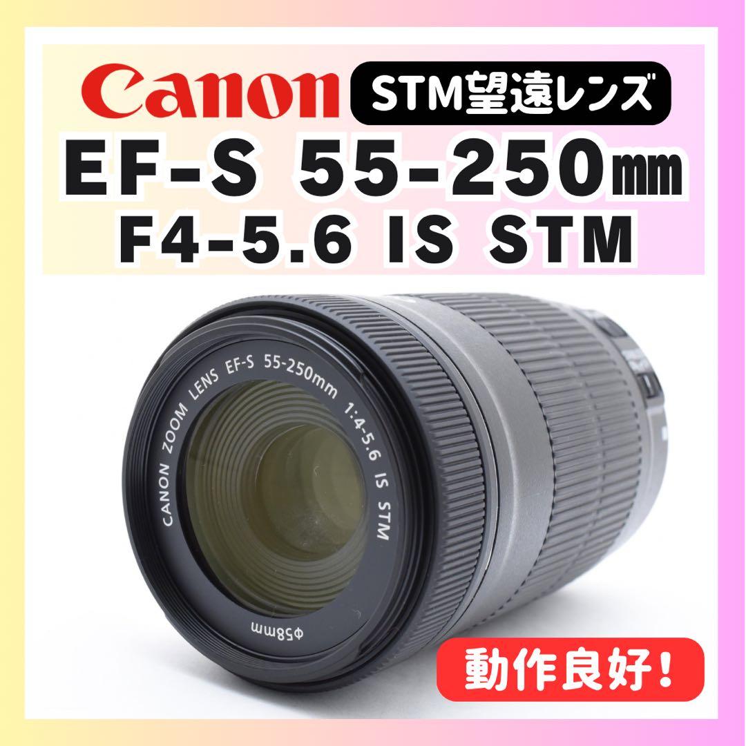 ✨CANON EF-S 55-250 IS STM✨高速AF✨望遠レンズ✨