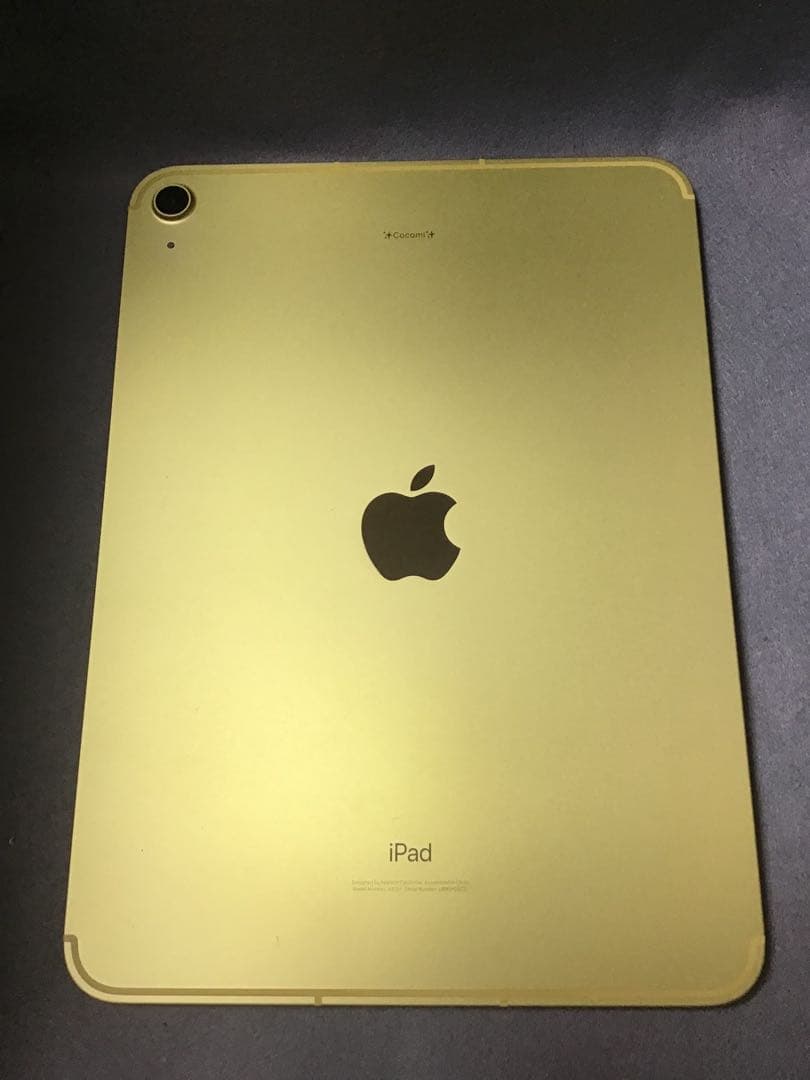 超美品　国内版　SIMフリー　iPad 第10世代 256GB