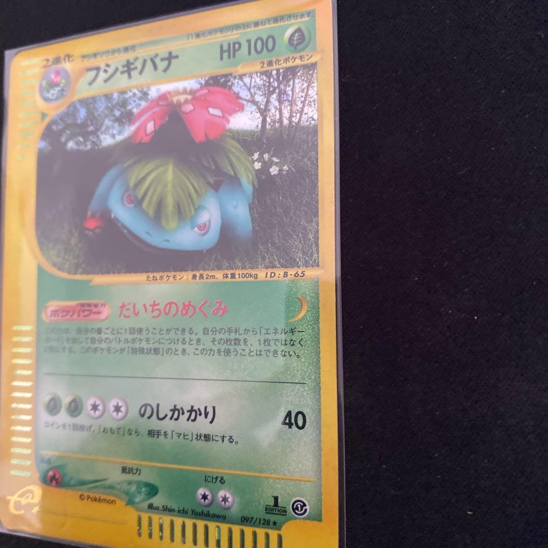 フシギバナ eカード キラ ホロ