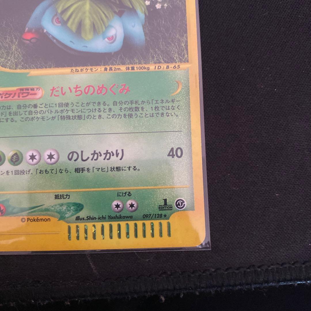 フシギバナ eカード キラ ホロ