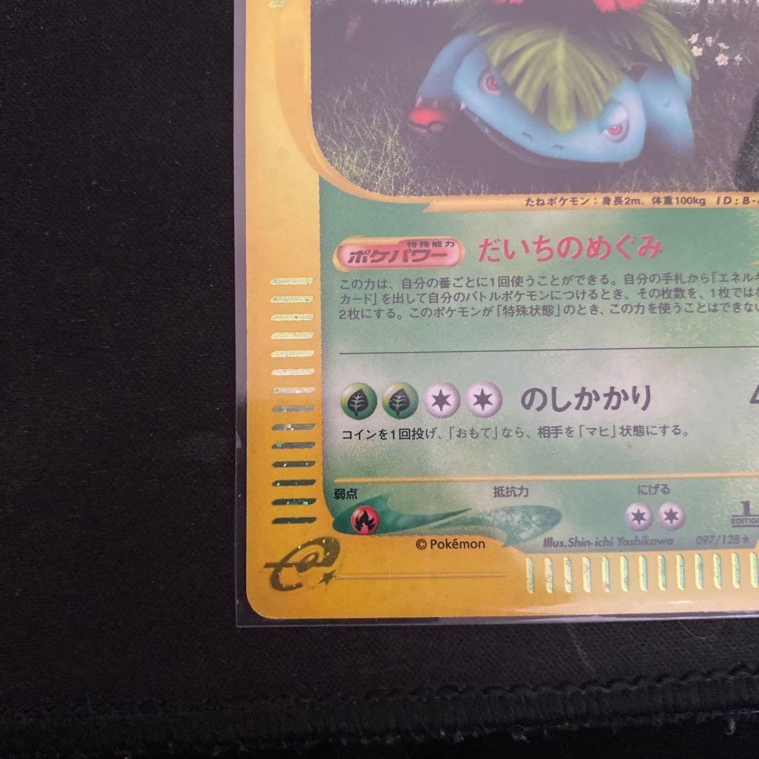 フシギバナ eカード キラ ホロ