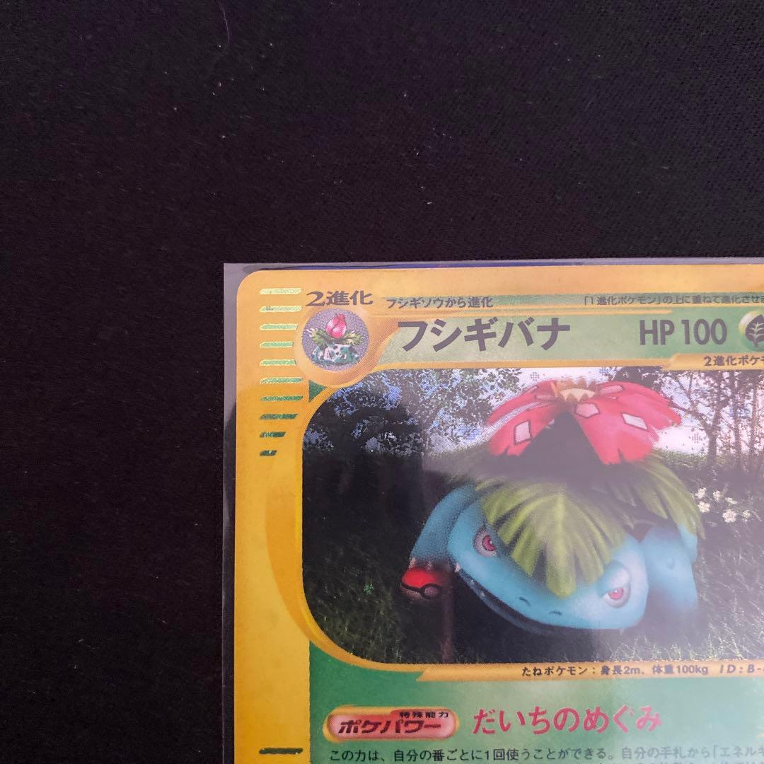 フシギバナ eカード キラ ホロ