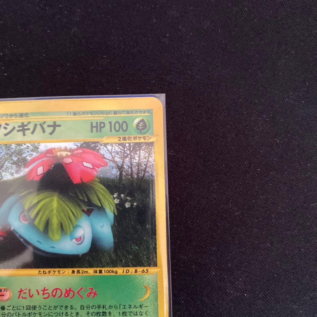 フシギバナ eカード キラ ホロ