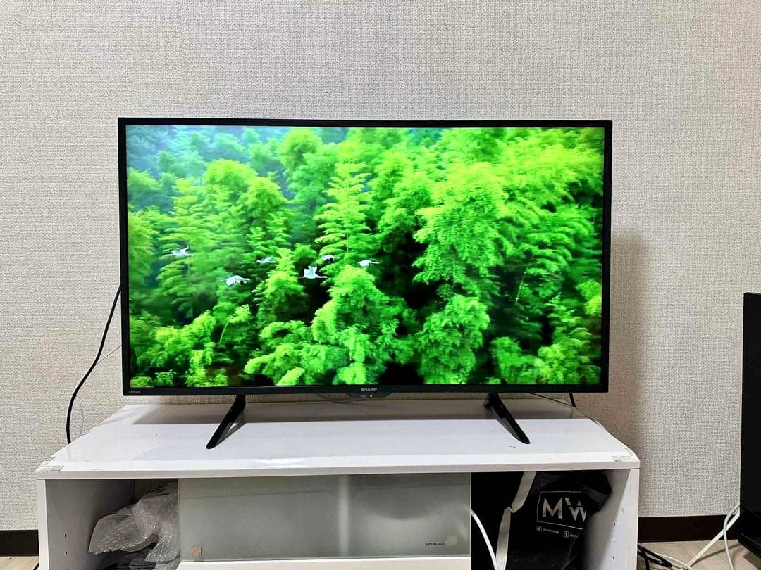 4K 対応SHARP 42インチ 液晶テレビ 2023年製4T-C42DH1