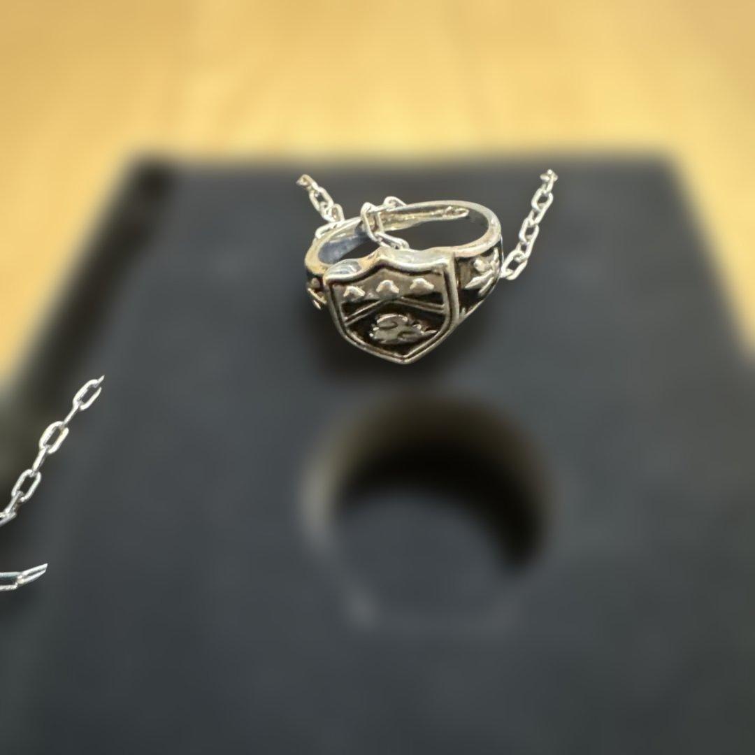 家庭教師ヒットマンREBORN 雲 ボンゴレリング