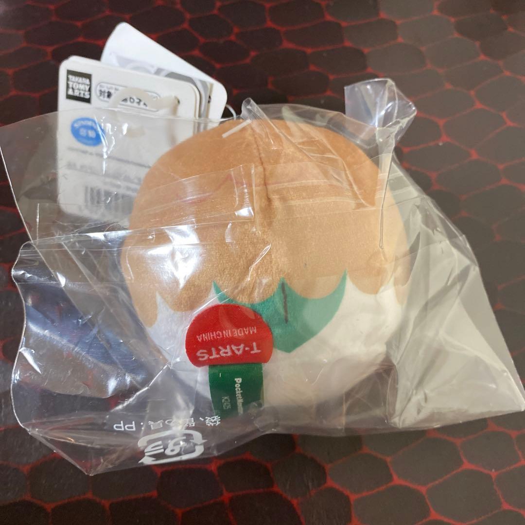 ポケモン モクロー ぬいぐるみ ちょっこりさん