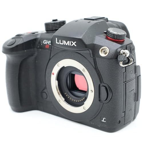 パナソニック ルミックス GH5S ボディ ブラック DC-GH5S-K
