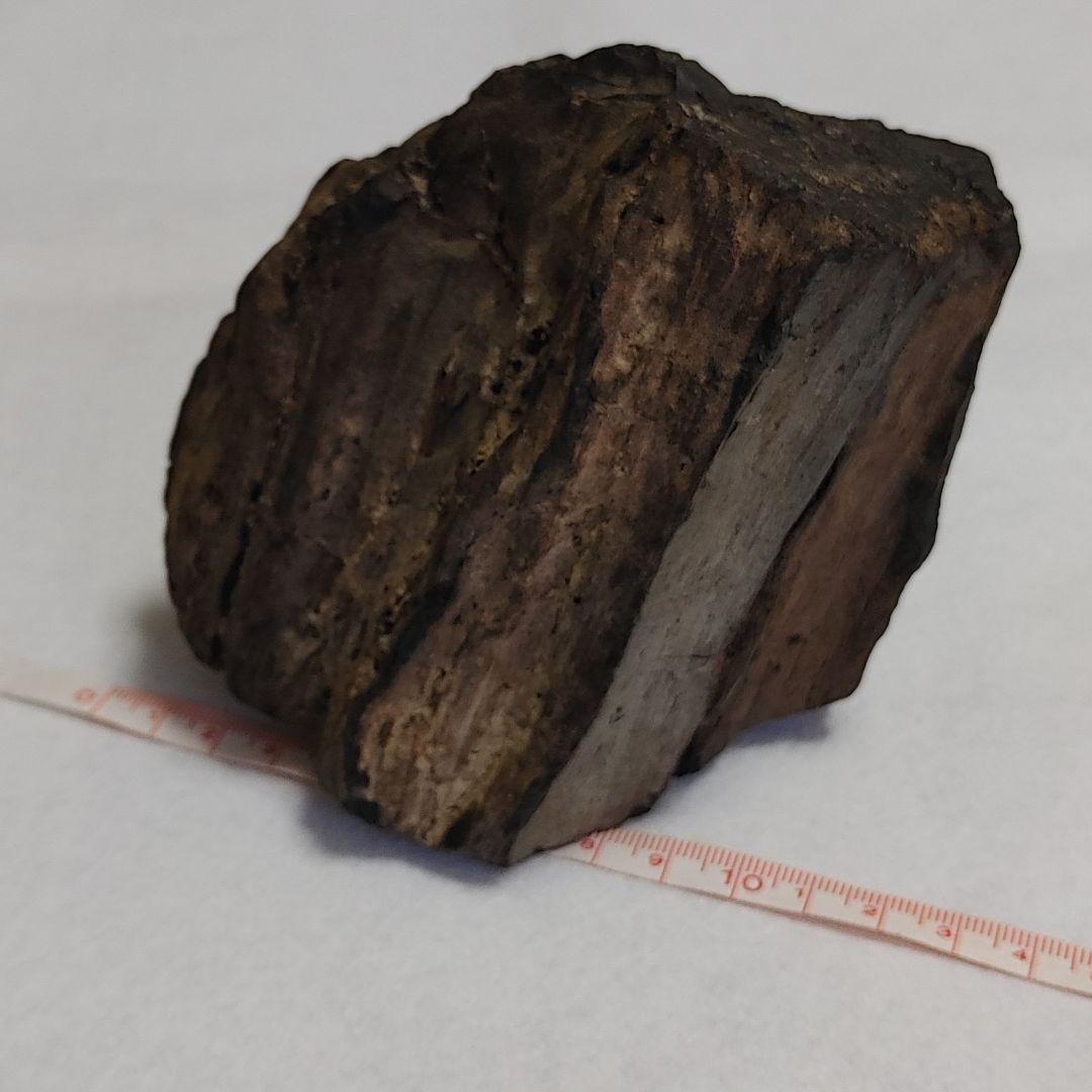 珪化木 けいかぼく 太古の樹木が化石