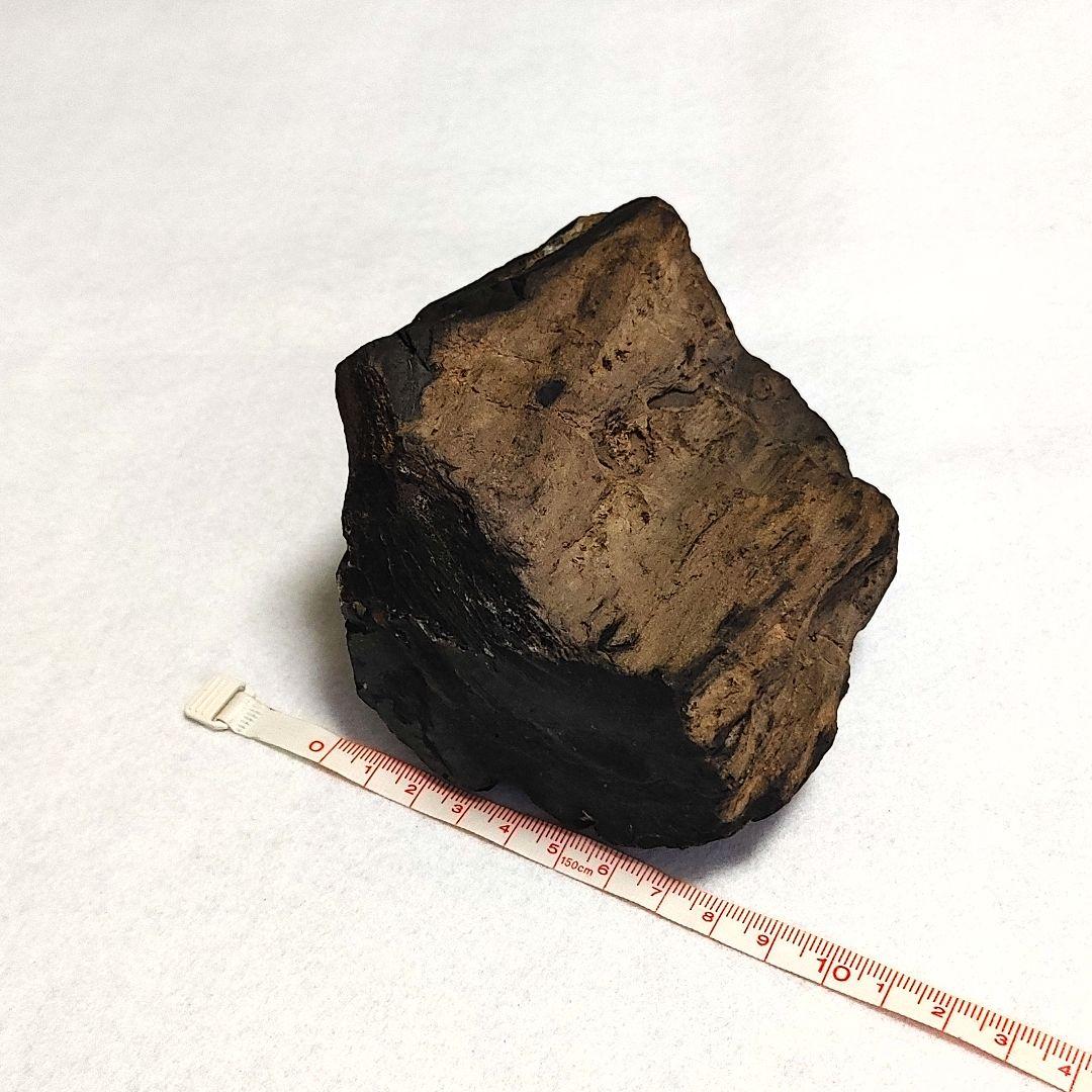 珪化木 けいかぼく 太古の樹木が化石