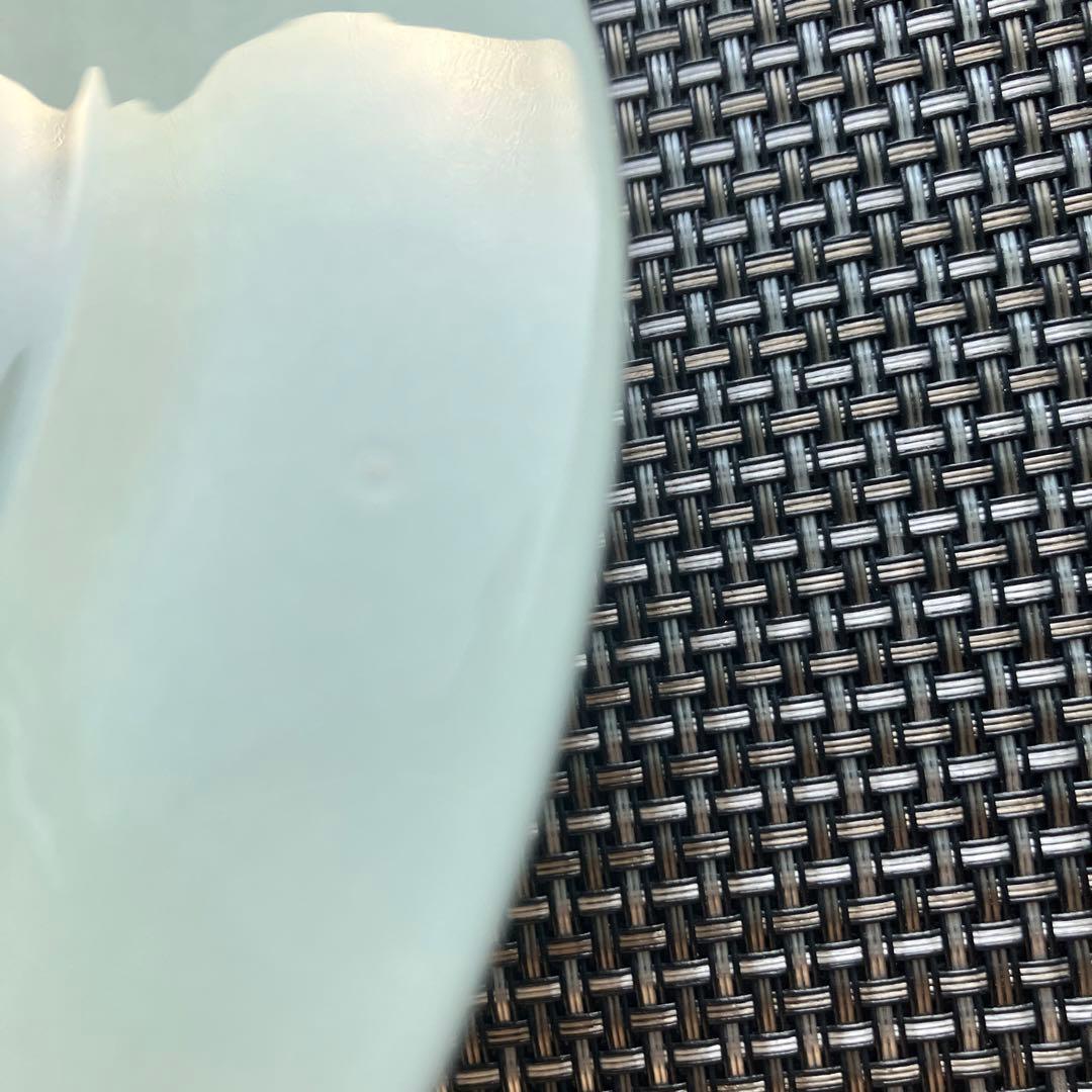 ロイヤルコペンハーゲン　トランクェーバー　2枚セット