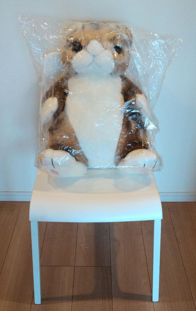 わちふぃーるど ダヤン ぬいぐるみ 48cm 3Lサイズ 670130