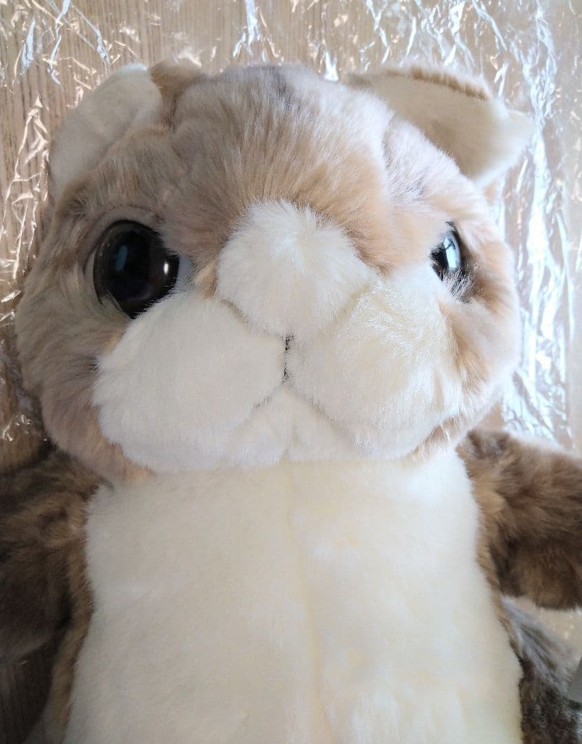 わちふぃーるど ダヤン ぬいぐるみ 48cm 3Lサイズ 670130