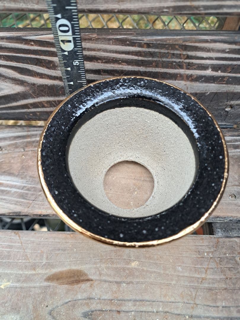 錦鉢　フウラン　富貴蘭　風蘭　鉢　インテリア　植物　伝統園芸　古典植物　植物　蘭