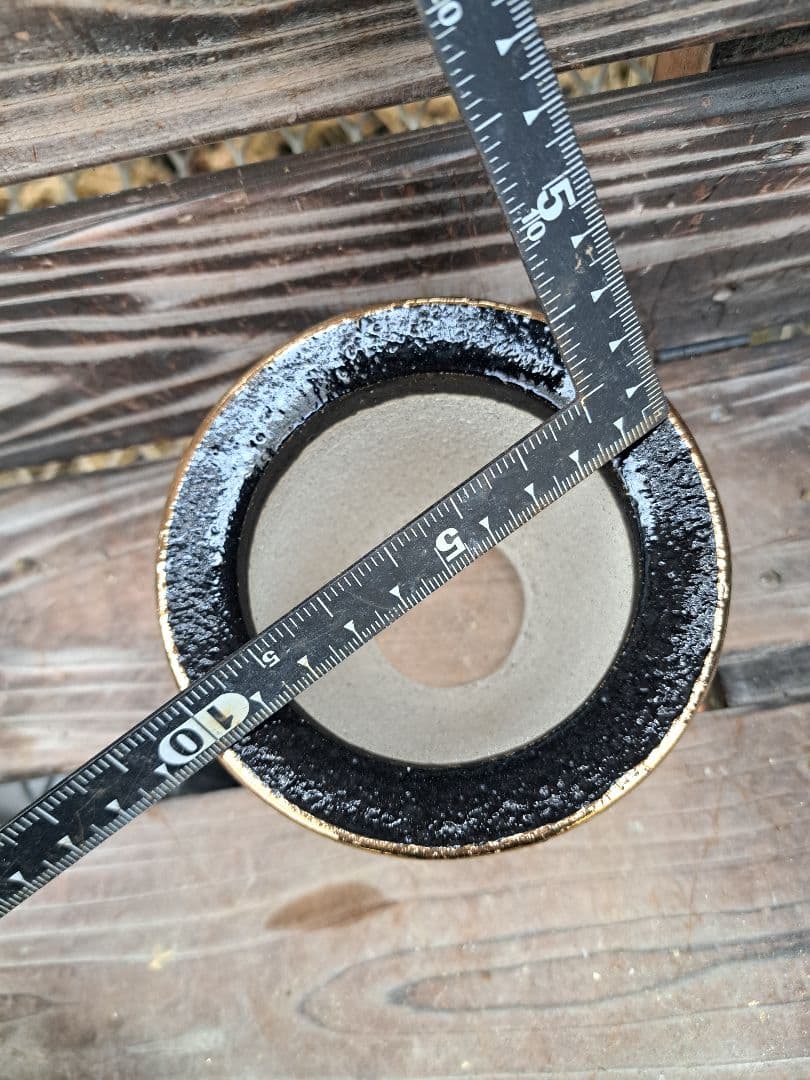 錦鉢　フウラン　富貴蘭　風蘭　鉢　インテリア　植物　伝統園芸　古典植物　植物　蘭