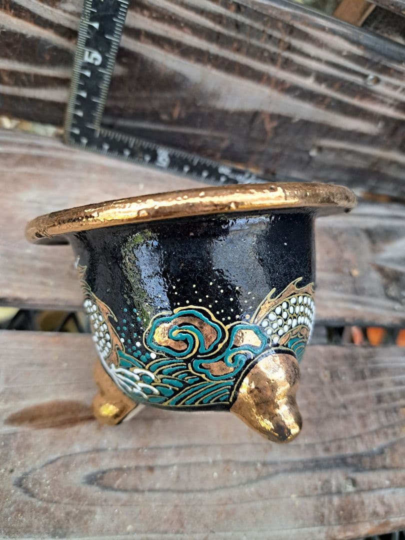 錦鉢　フウラン　富貴蘭　風蘭　鉢　インテリア　植物　伝統園芸　古典植物　植物　蘭