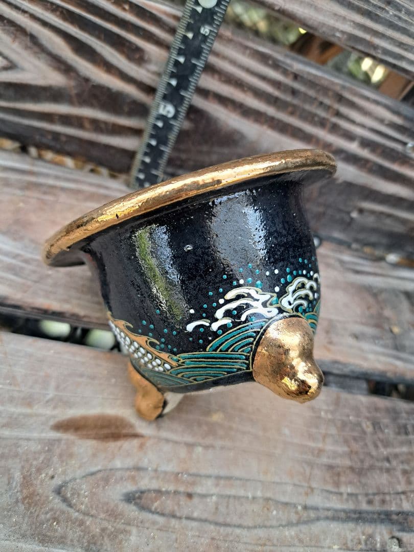 錦鉢　フウラン　富貴蘭　風蘭　鉢　インテリア　植物　伝統園芸　古典植物　植物　蘭